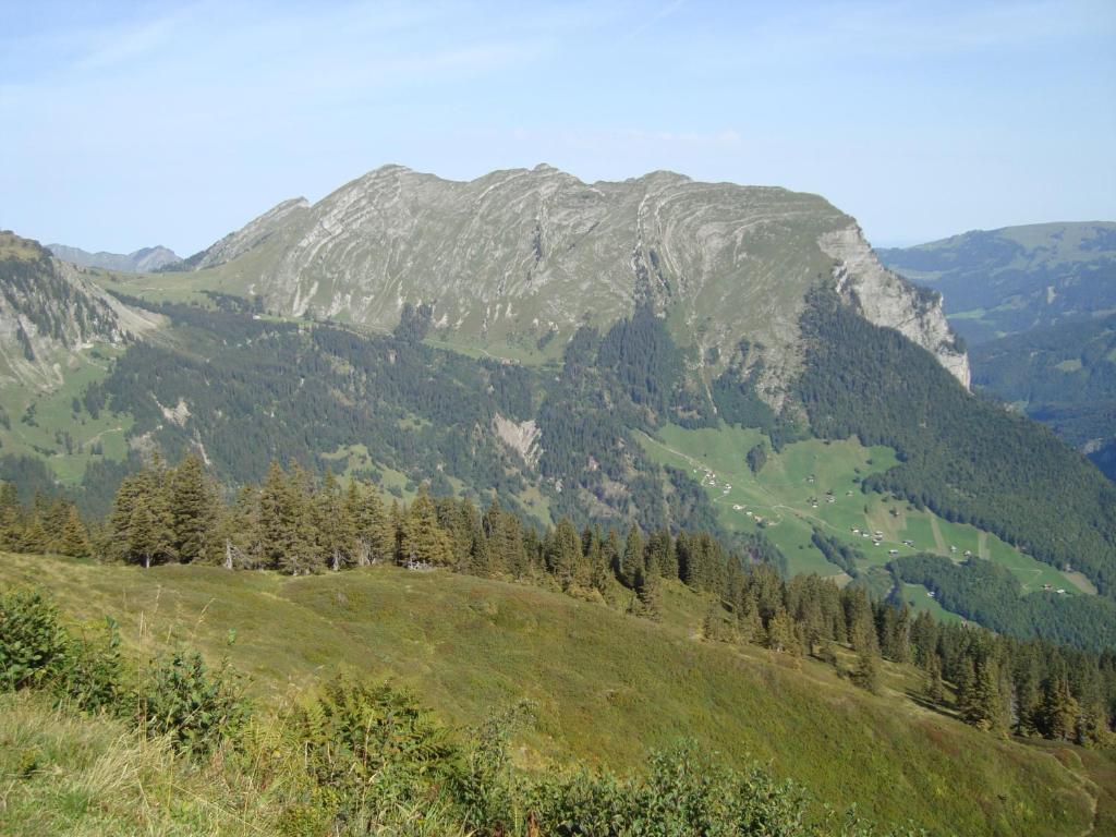 Bauernhof Ferienbauernhof Beer *